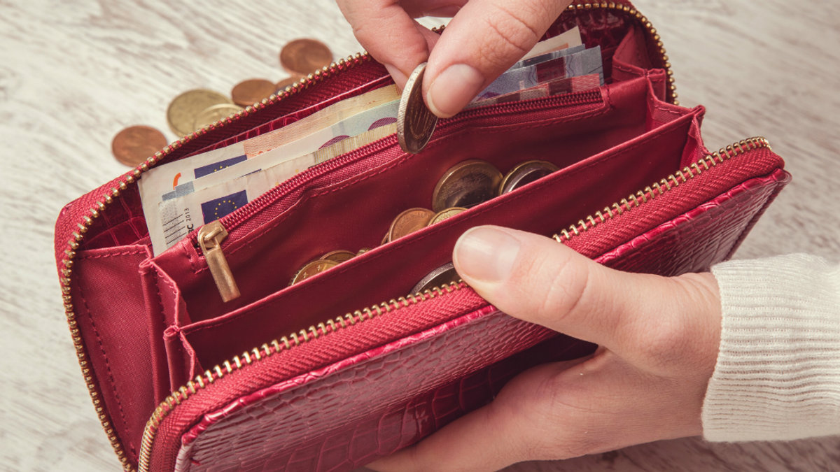 COINS-EUROS-WALLET
