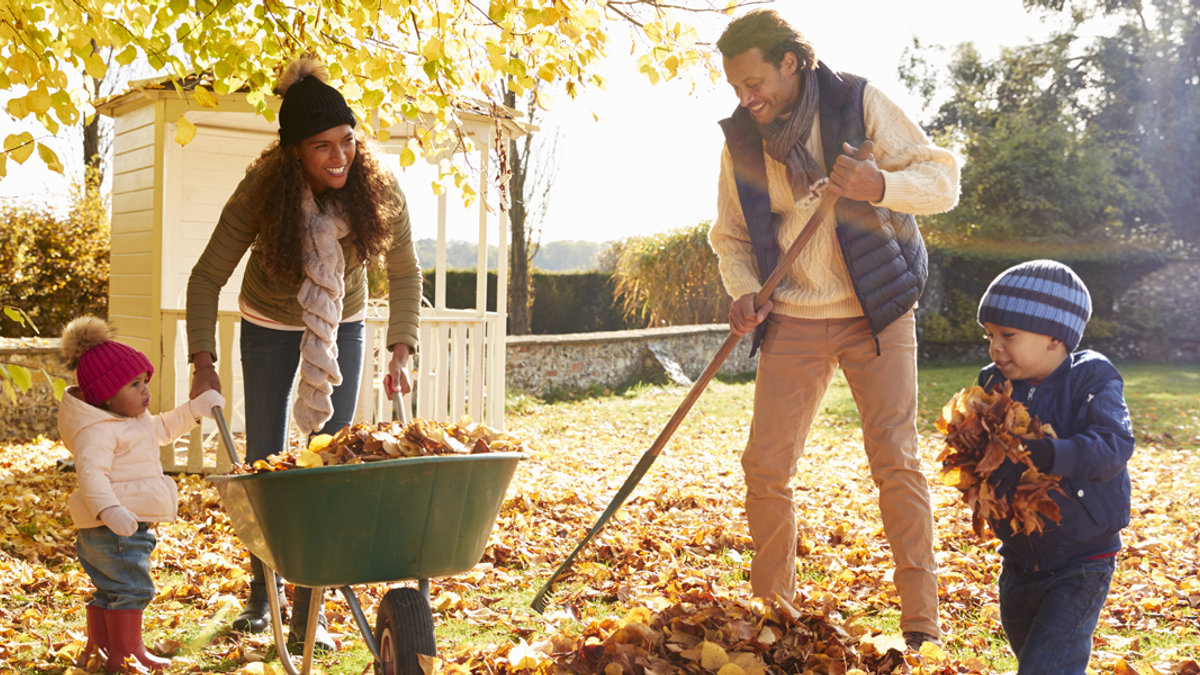 FAMILY,RAKING,LEAVES