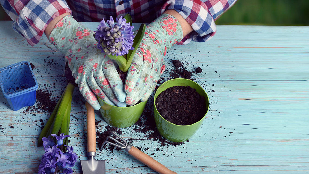 GARDENING