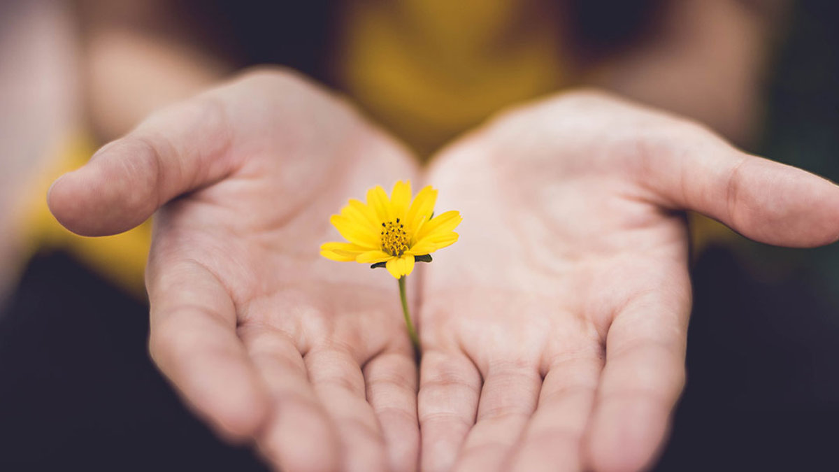 FLOWER