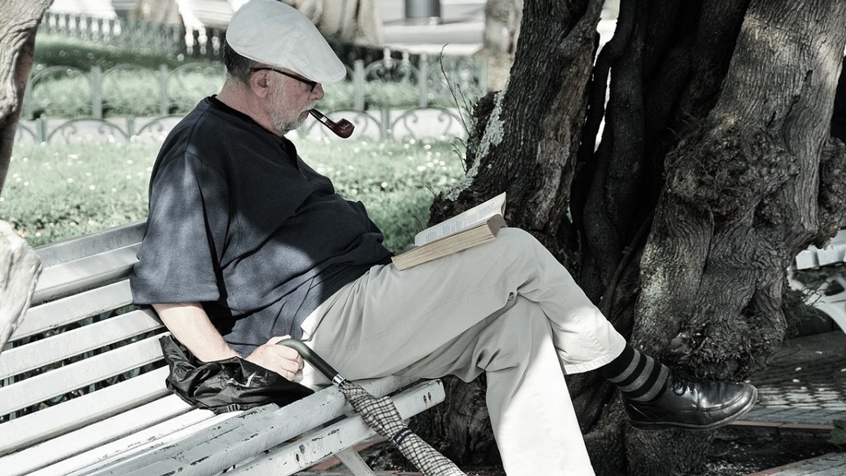 web3-man-reading-book-benck-park-nature-pipe-grandpa-pixabay.jpg