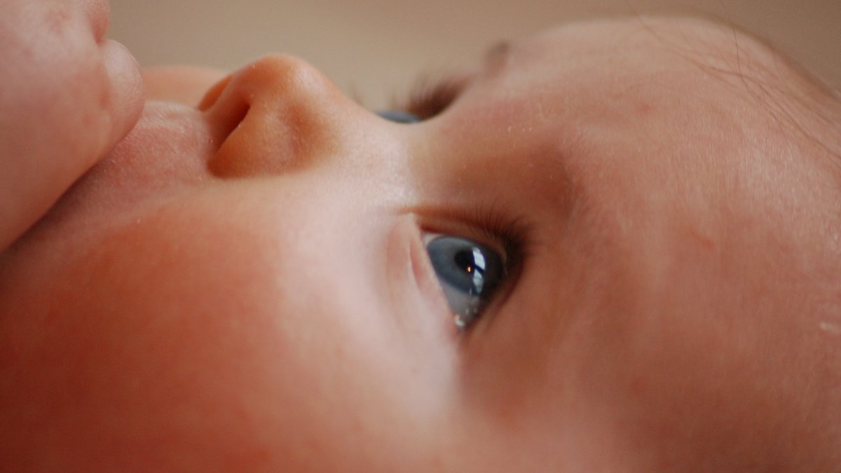 adorable-baby-child-35446