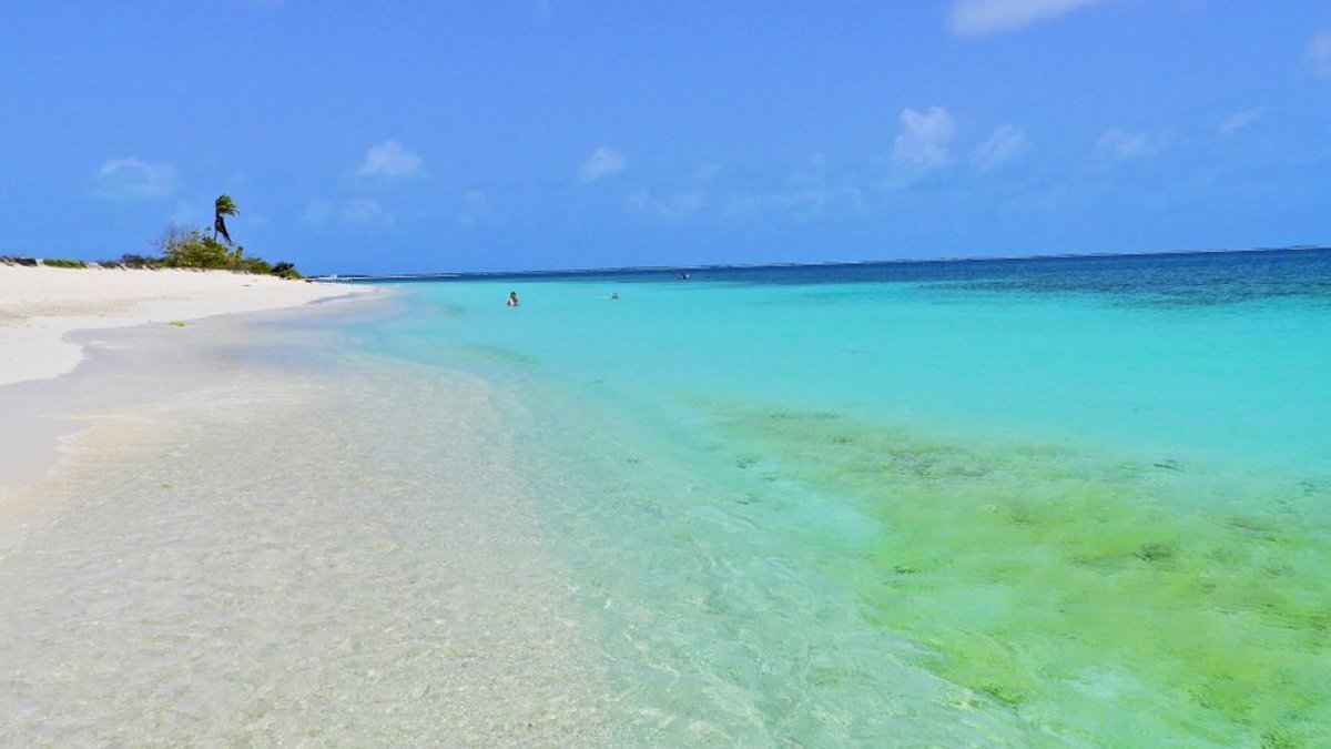 LOS ROQUES