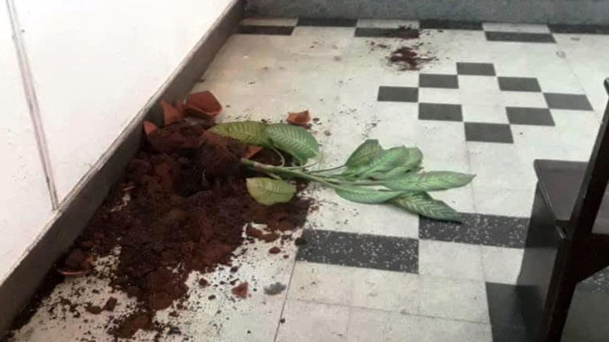 web3-venezuela-destrozos en la iglesia ntra sra de guadalupe en el estado zulia el 27 de enero de 2019 – foto @cevmedios