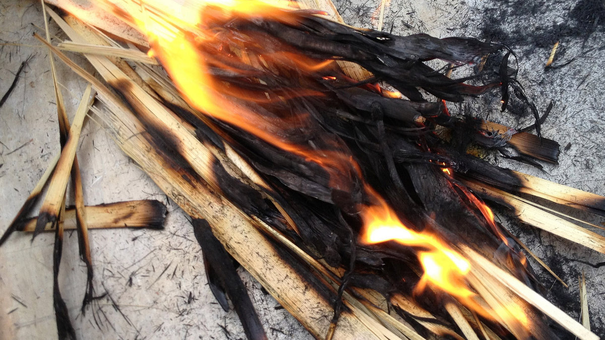 WEB-ASH WEDNESDAY-LENT-PALM-BURNING-Fr Lawrence Lew, OP-CC