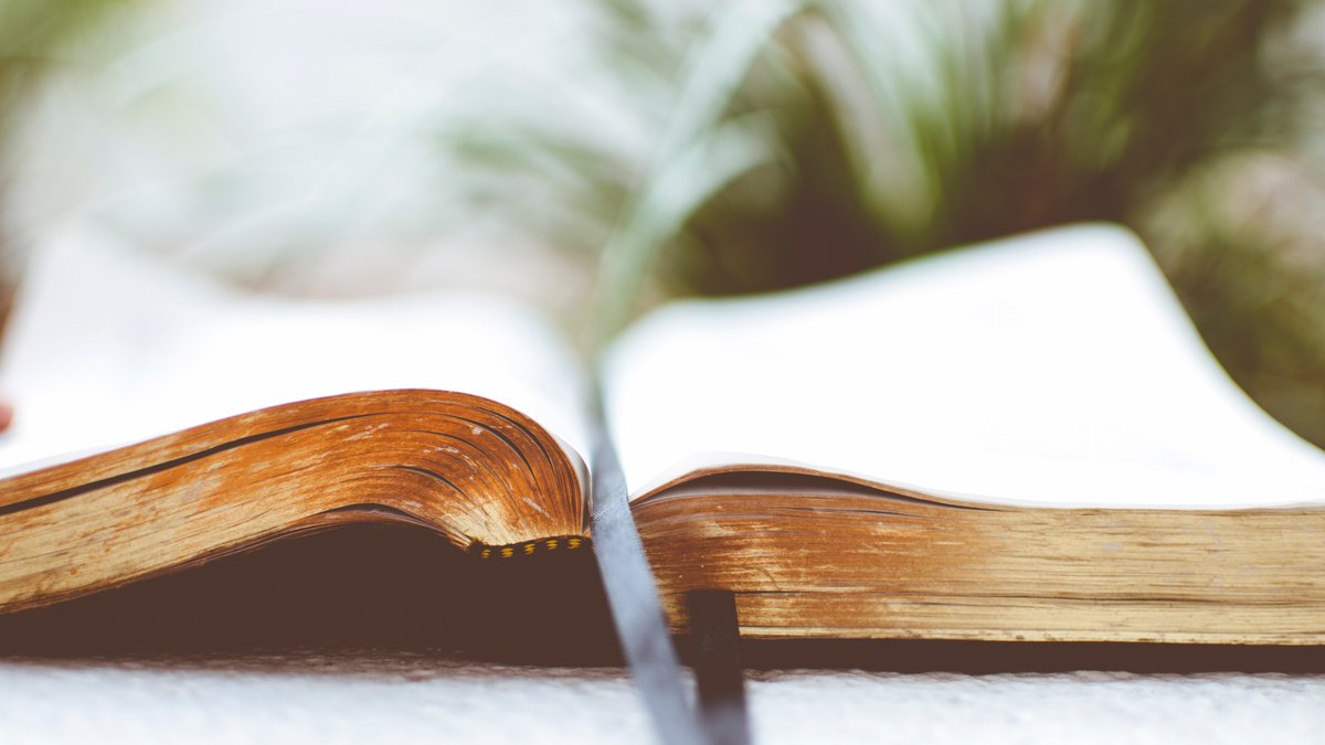 Otwarta Biblia