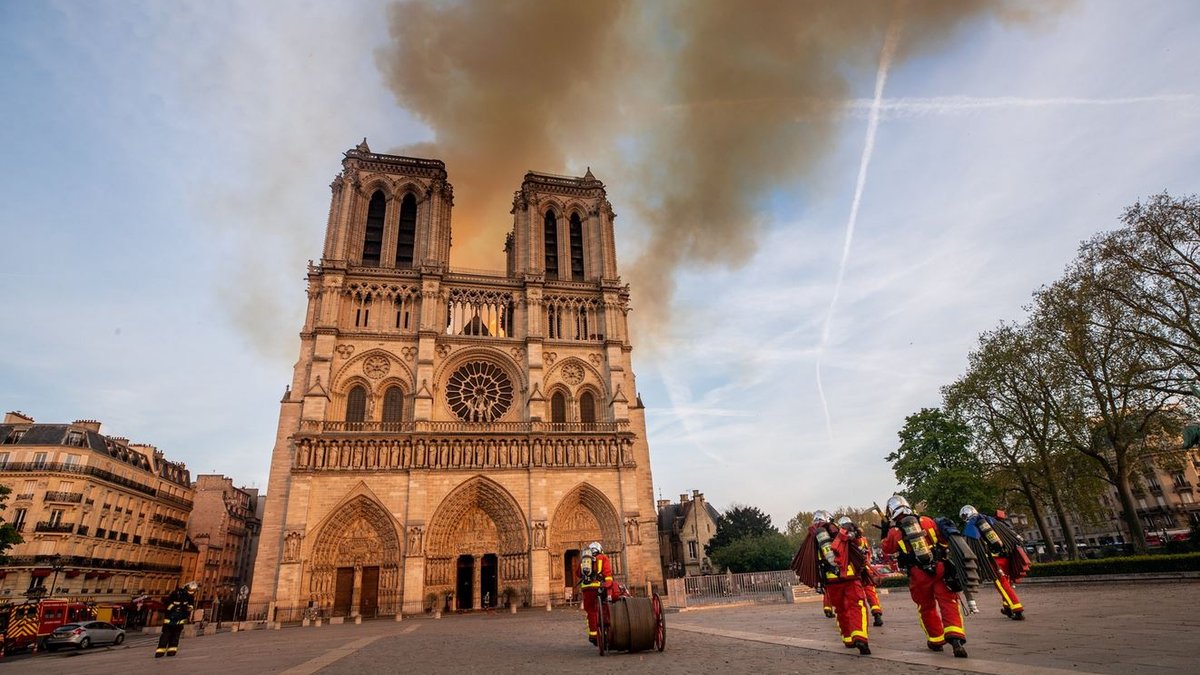 moser-bspp-notre-dame-5.jpg