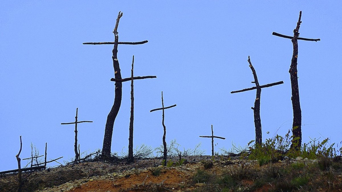 forest-fire.jpg