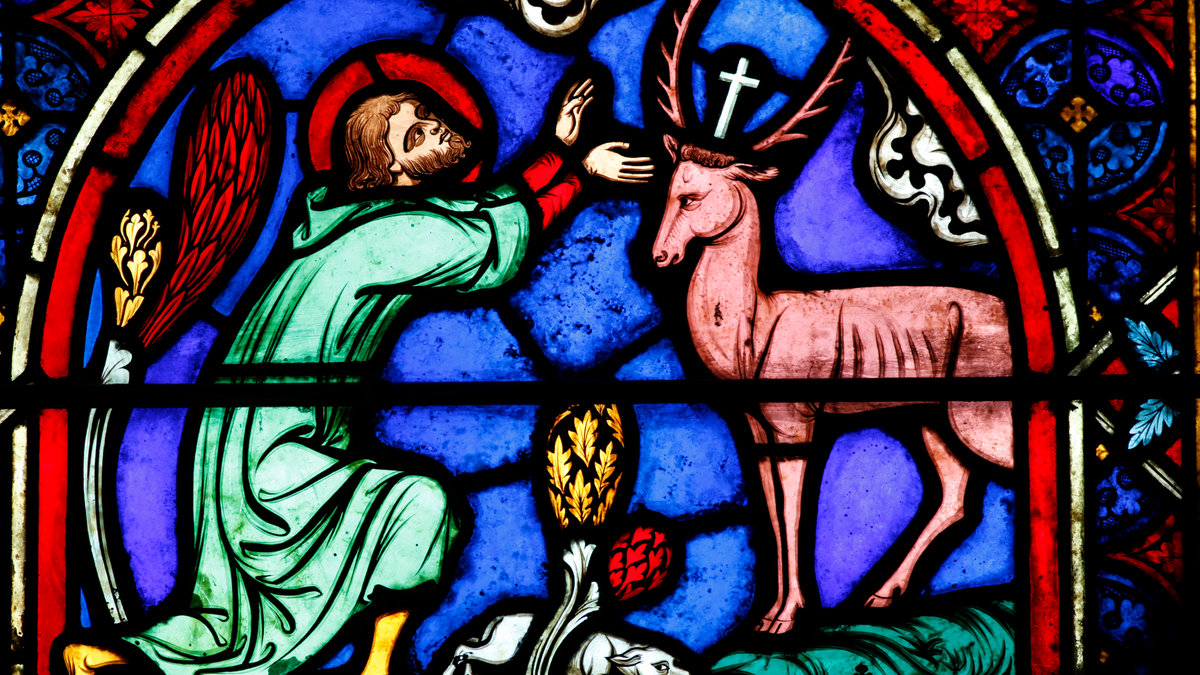 cerf vitrail
