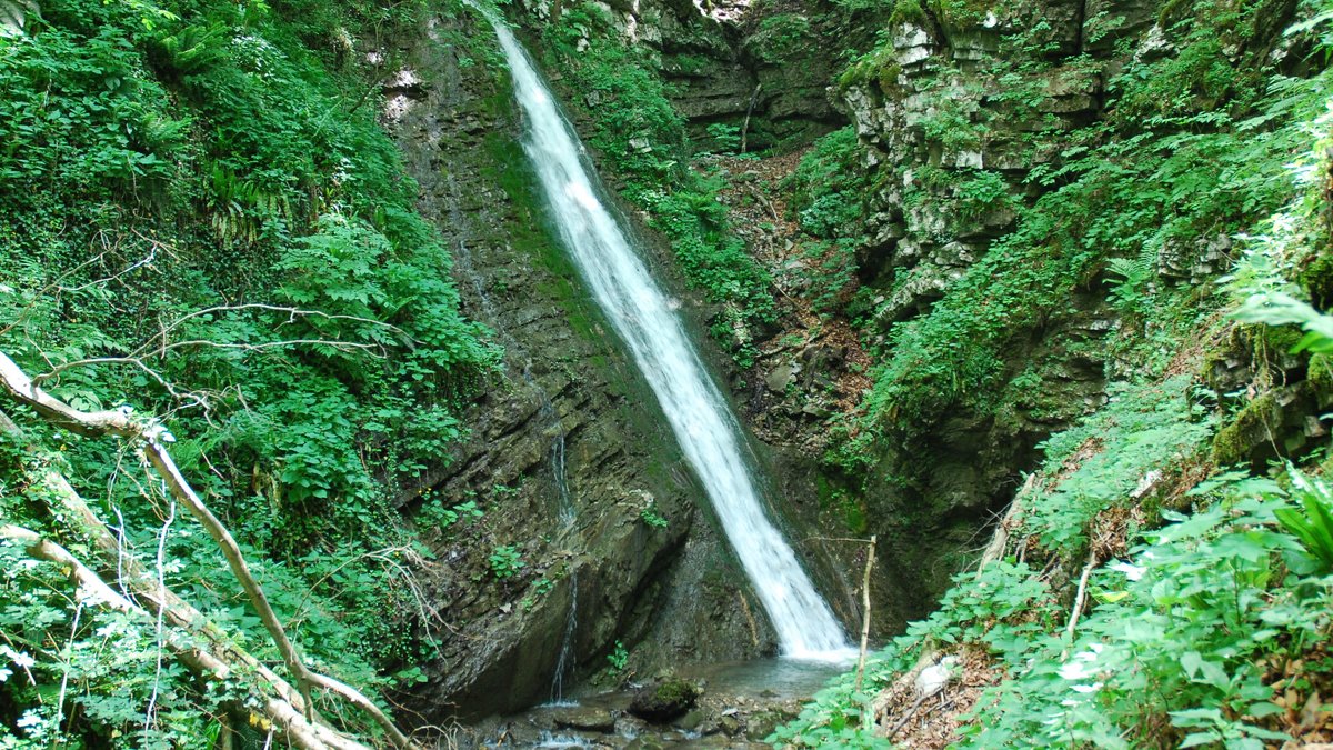 WEB 3 DREZNICA-SLOVENIA
