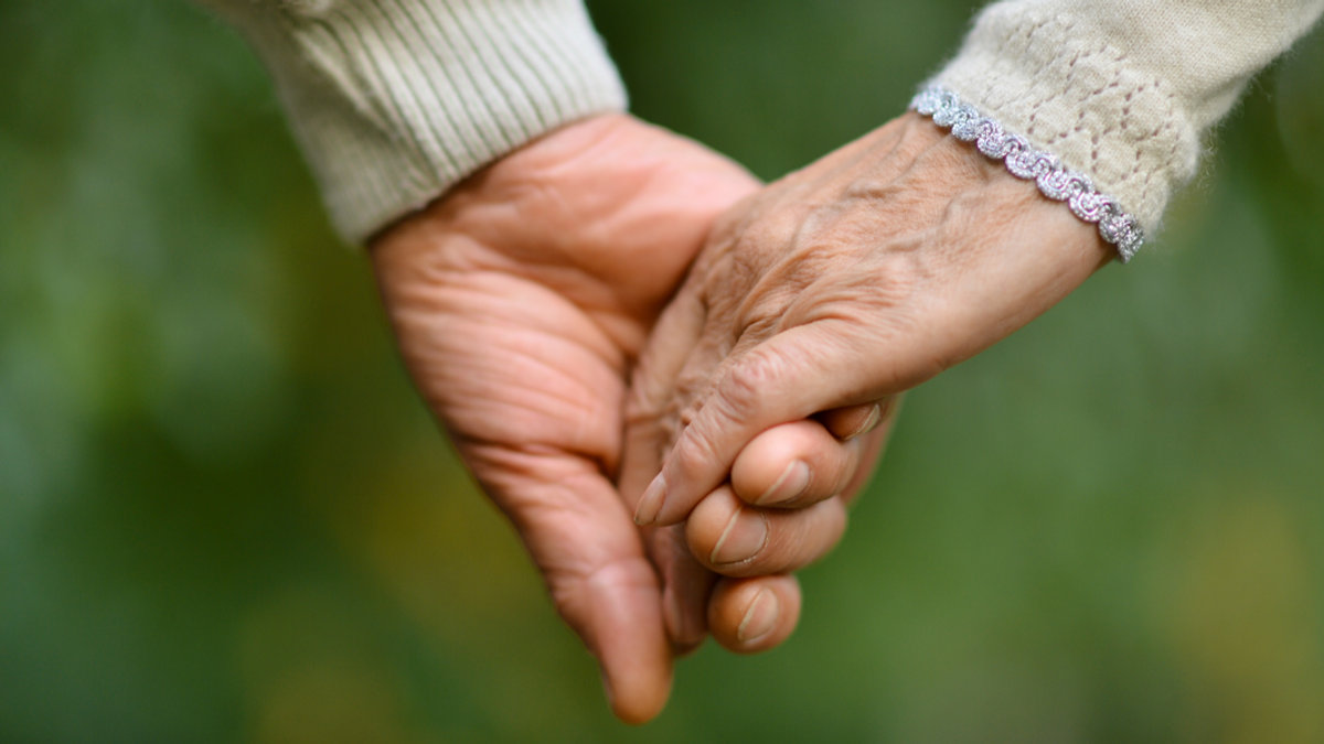 WEB2-Friendship and love of man and woman: two hands over nature – shutterstock.png