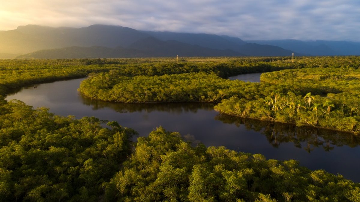 web3-amazon-rain-forest-river-shutterstock-gustavo-frazao.jpg