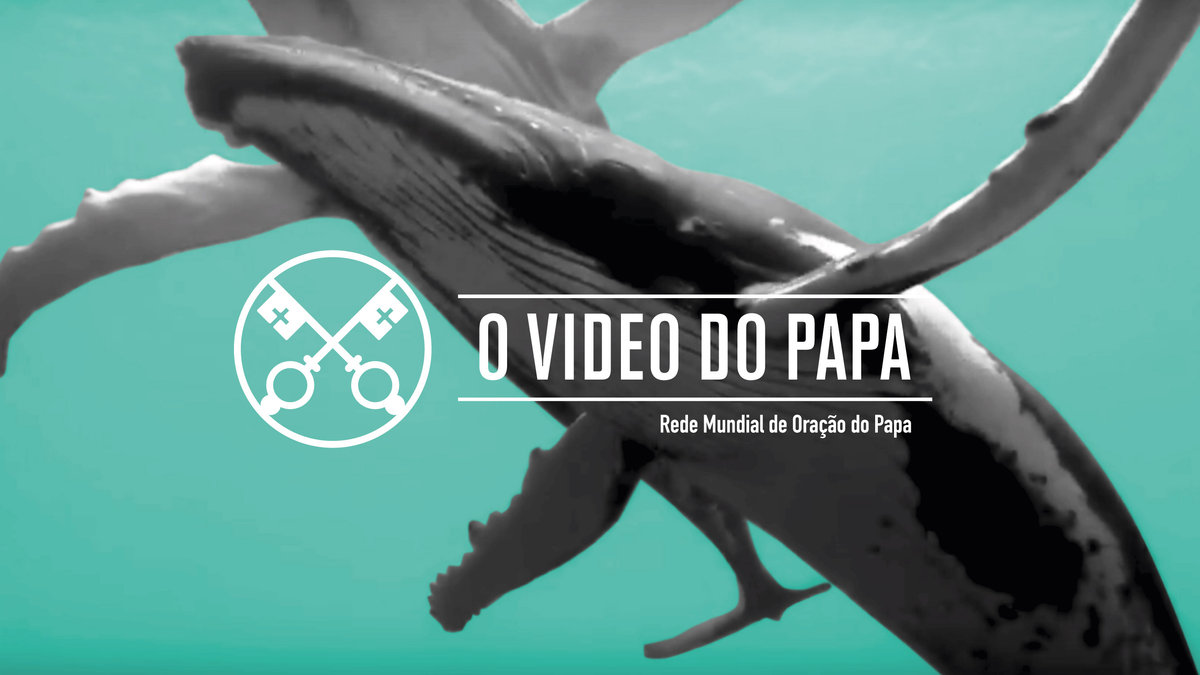 official-image-tpv-9-2019-4-pt-protecao-dos-oceanos.jpg