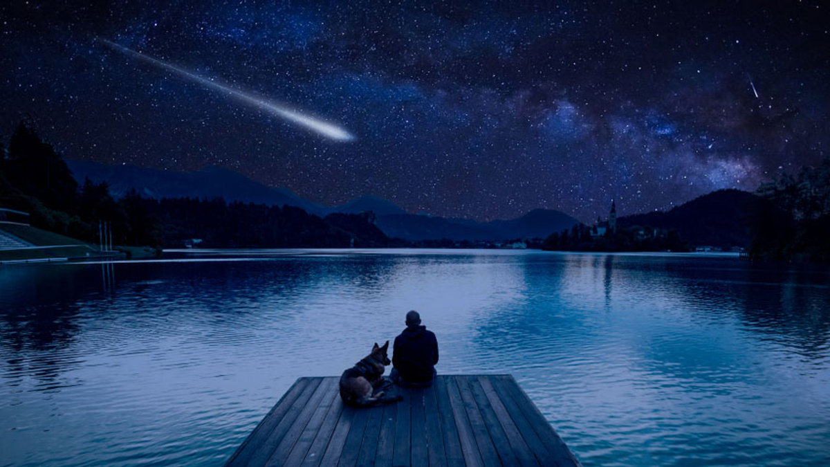 PERSEIDS