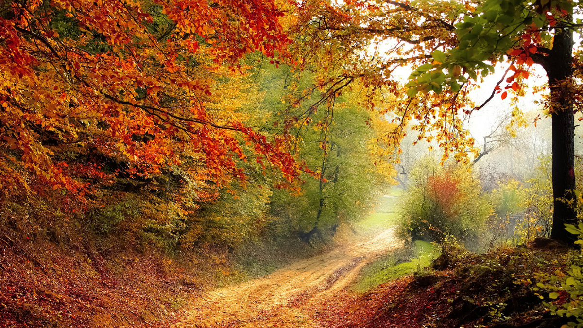 AUTOMNE