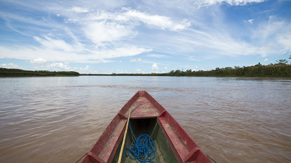 AMAZONIA
