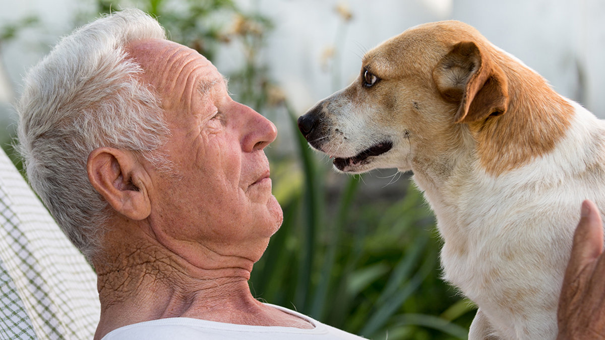 PET