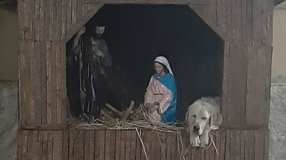 web3-dog-holy-scene-christmas-limbaldi-fairuse.jpg