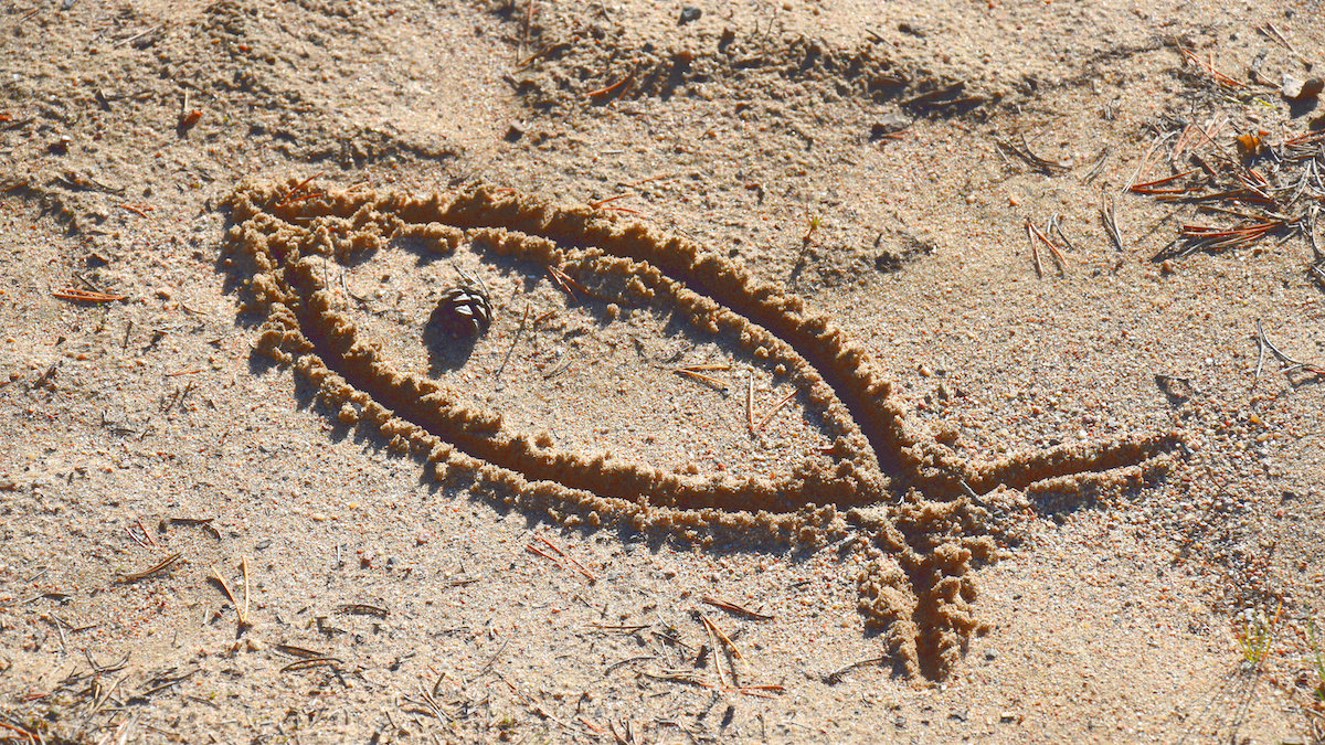 ICHTHYS