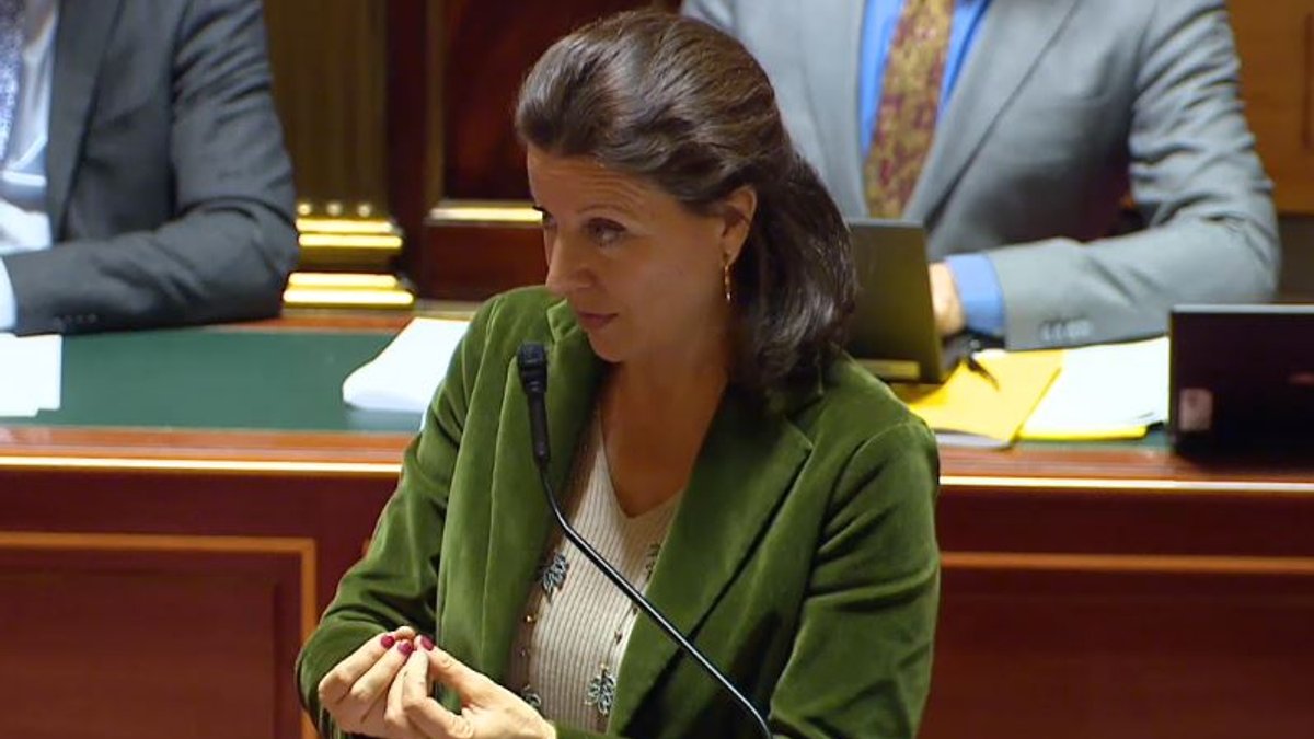 web2-agnes-buzyn-capture.jpg