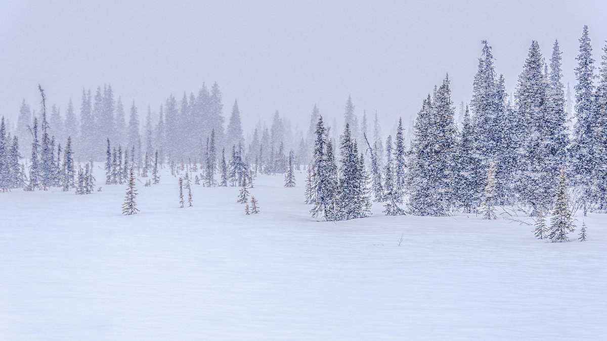 SNOW