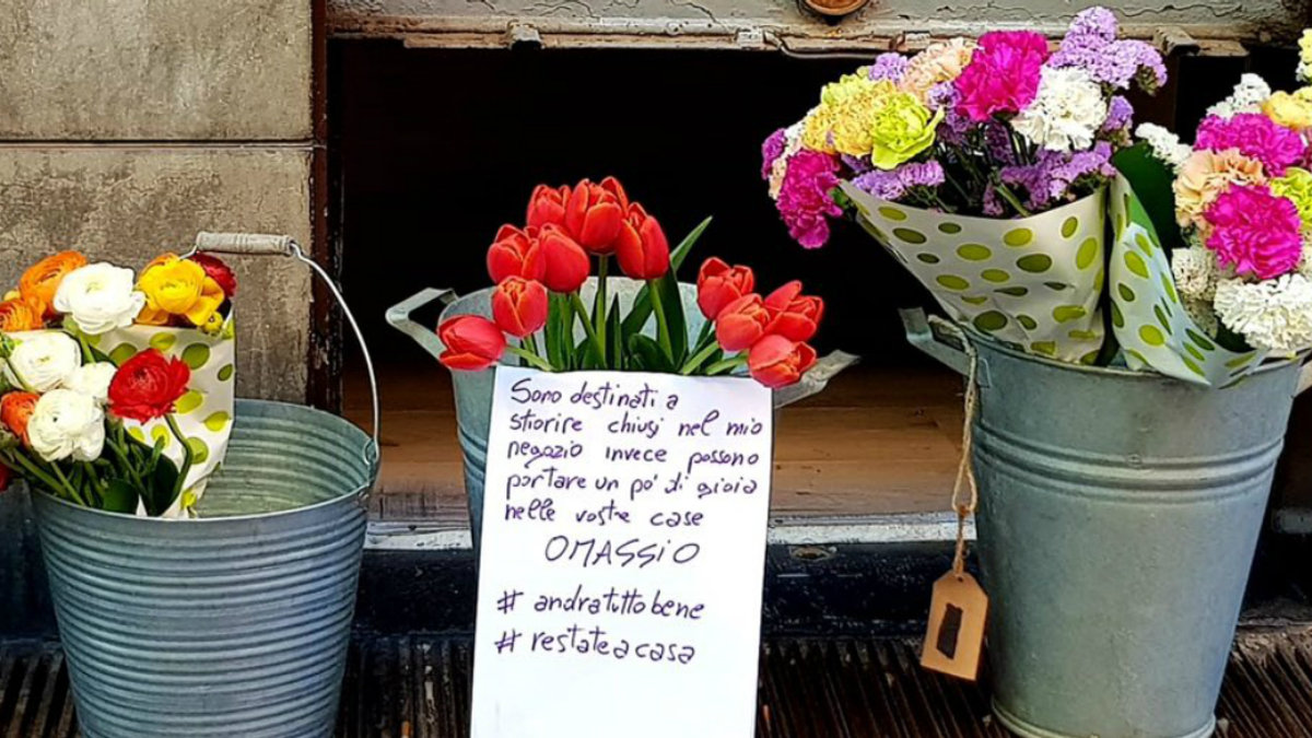 fleurs.jpg