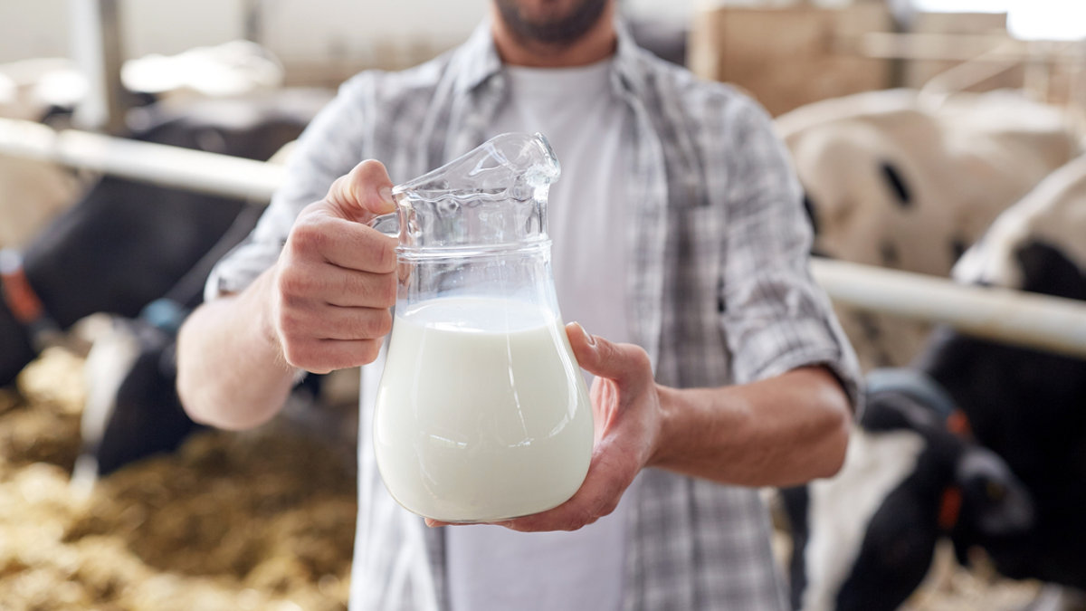 FARMER, MILK, COWS