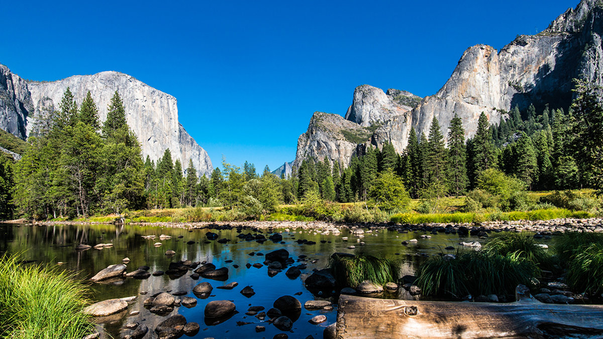 Yosemite National Park
