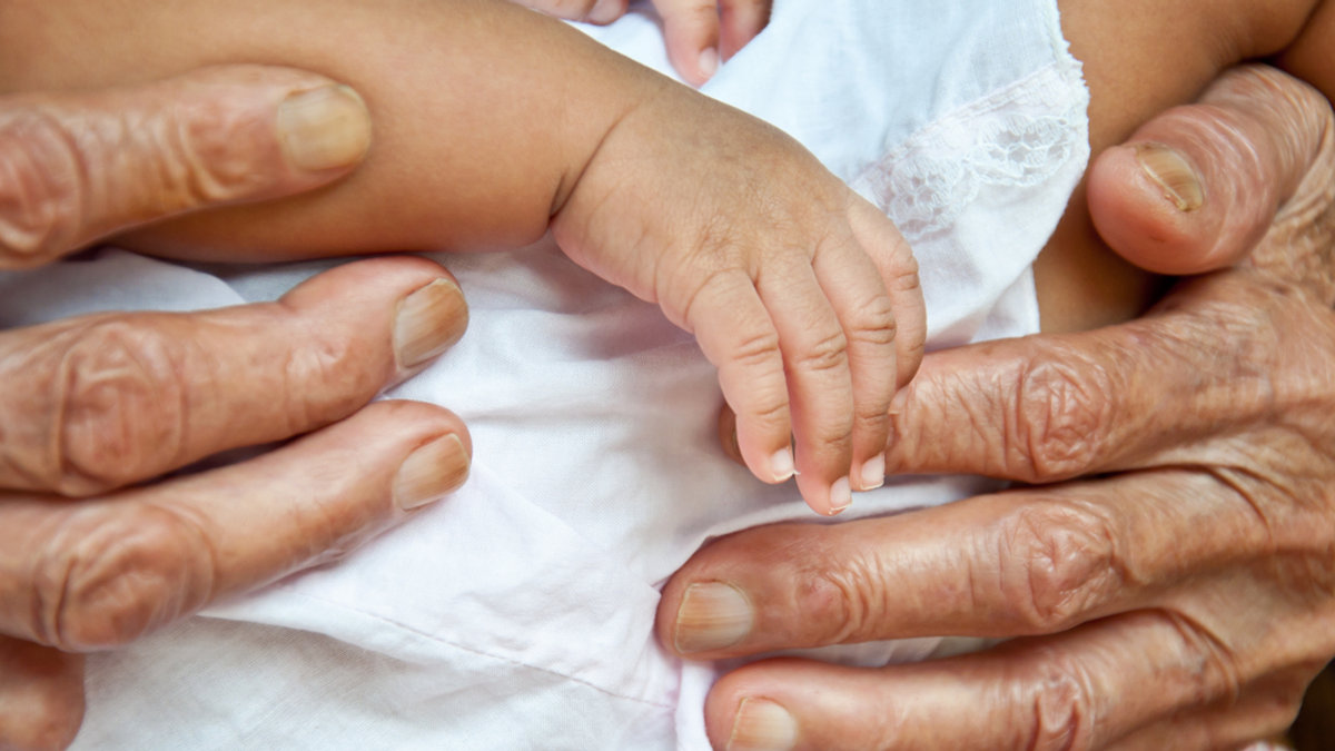 OLD HANDS