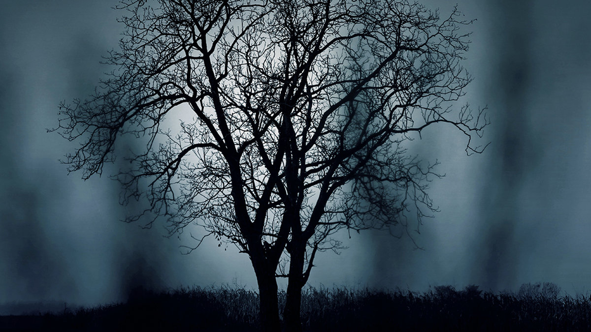 NIGHT
