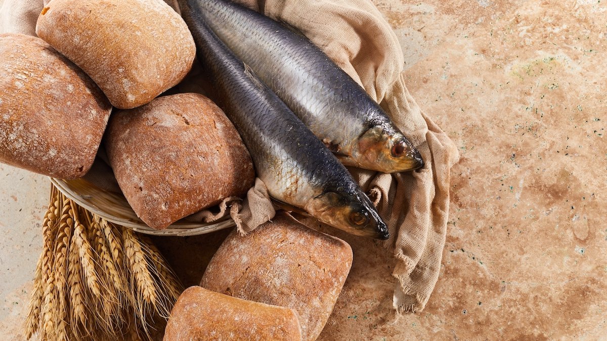 pescado y peces