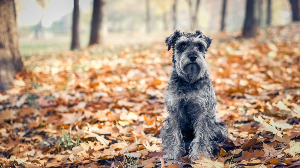 shutterstock_1591197049.jpg