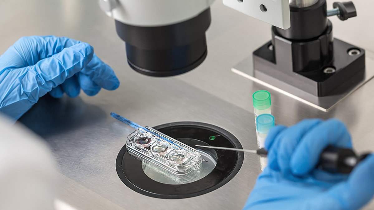 IN VITRO