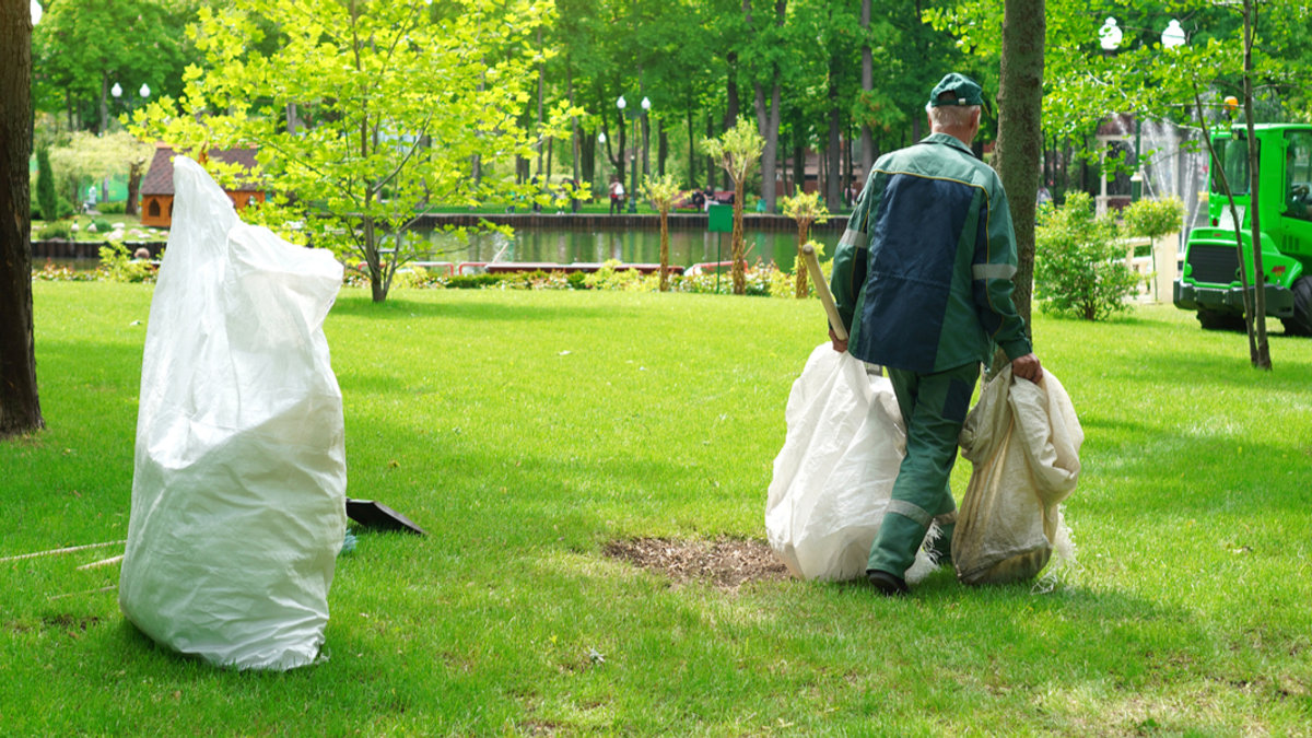 MAN, PARK, CLEANING