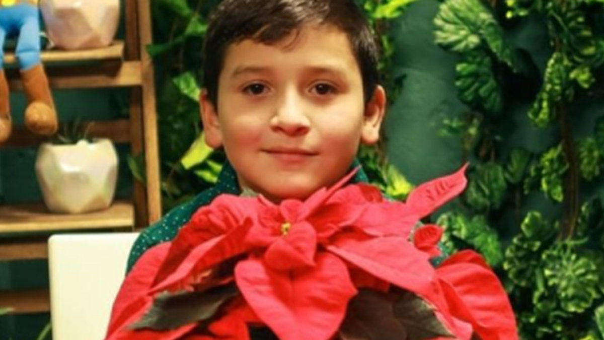 AARON, BIZNES RODZINNY
