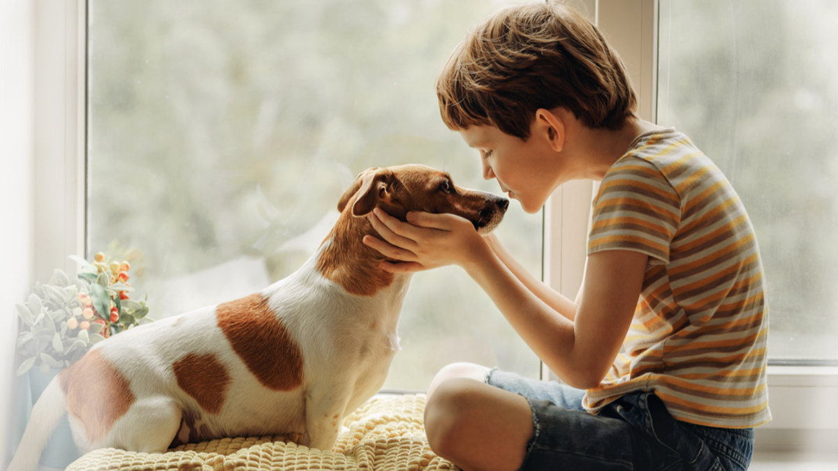 CHILD, DOG, WINDOW