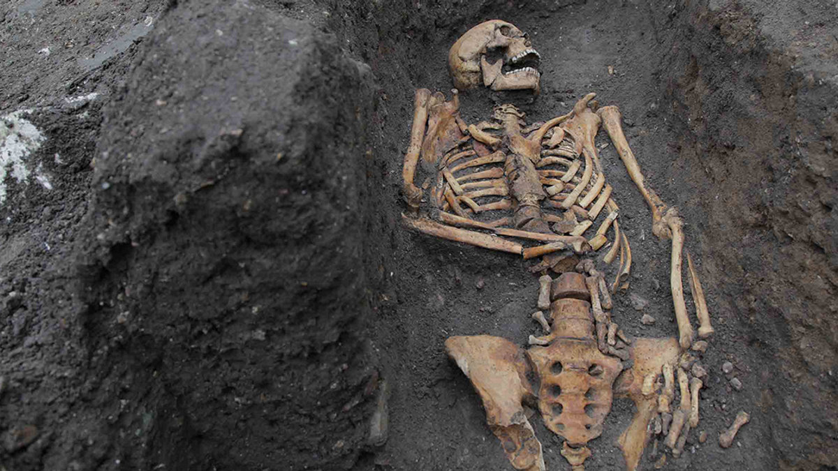 Friar bone analysis