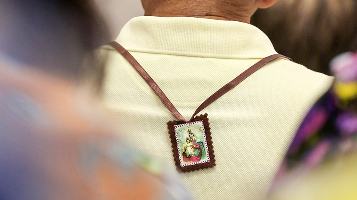 brown SCAPULAR