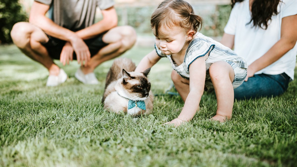 chewy-59TTmbSL1Yw-unsplash.jpg