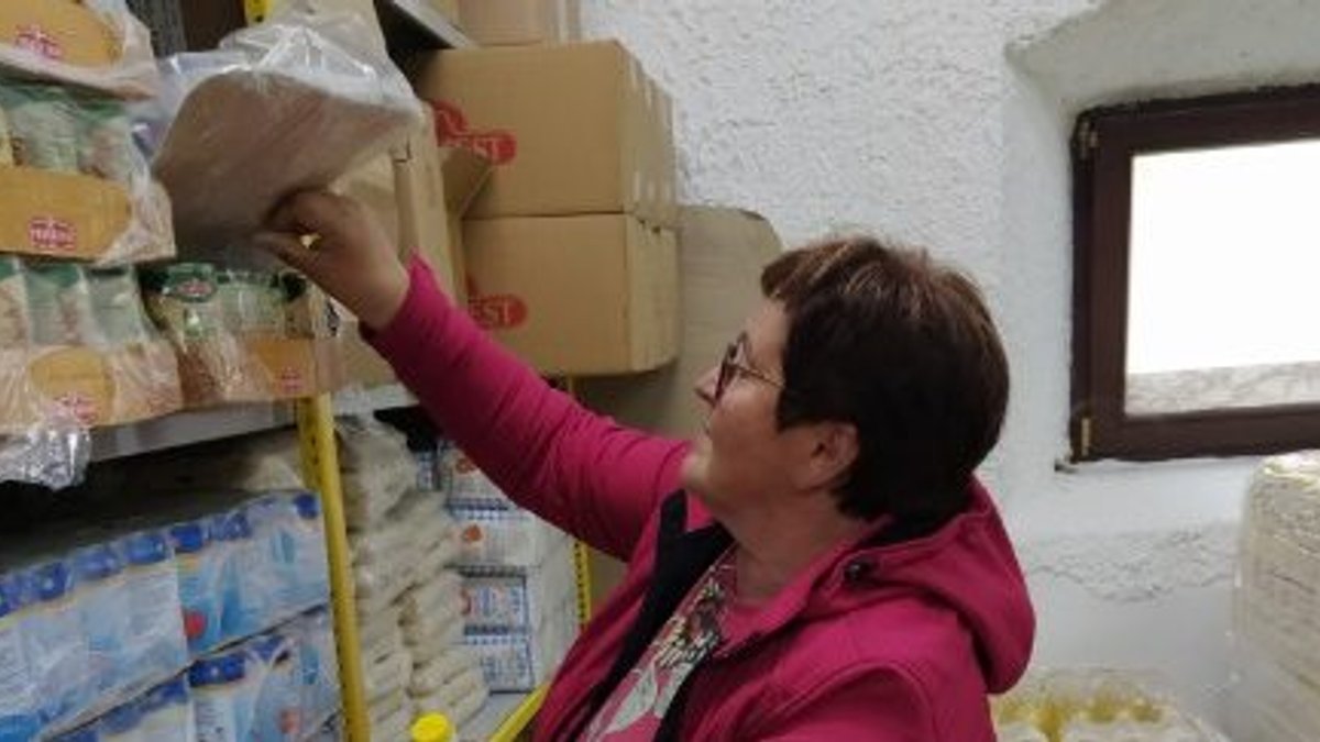 terezija vivod