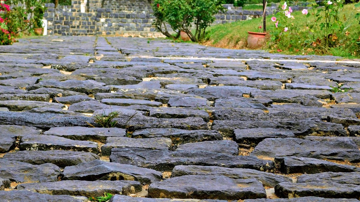 lands where Jesus walked.