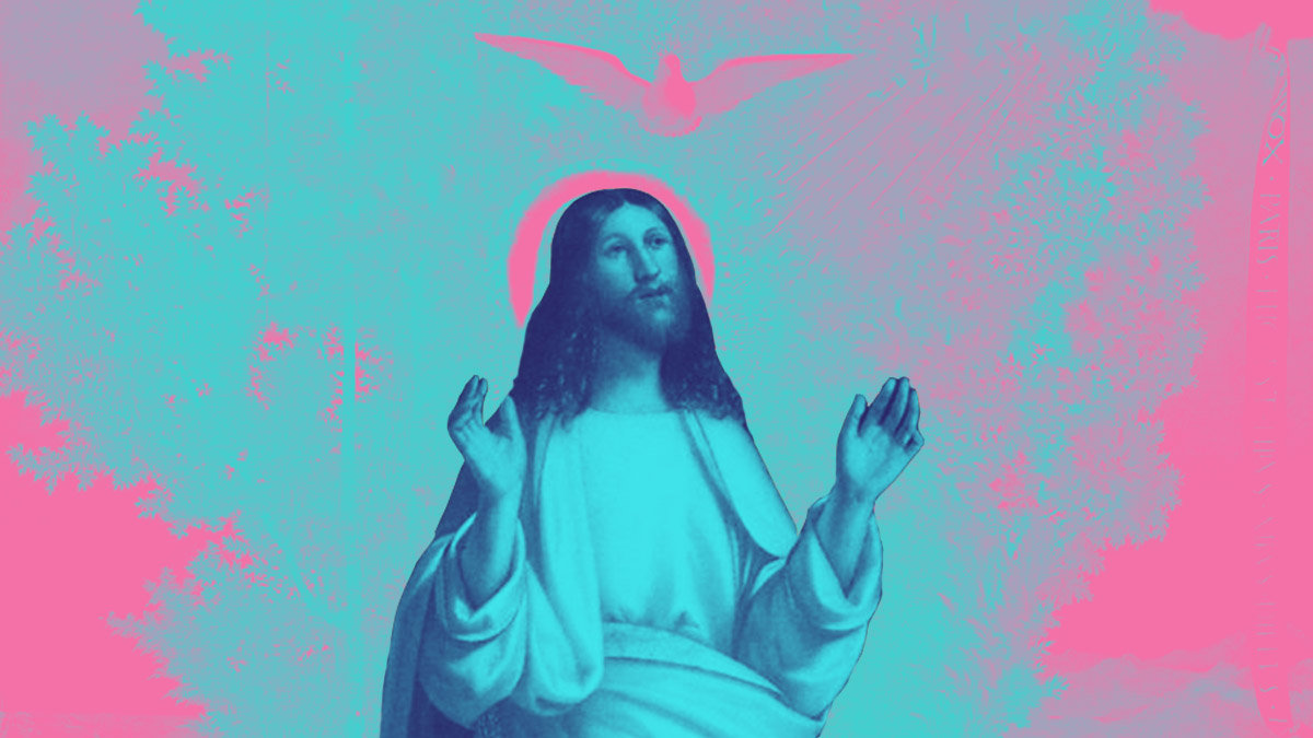 TRANSFIGURATION