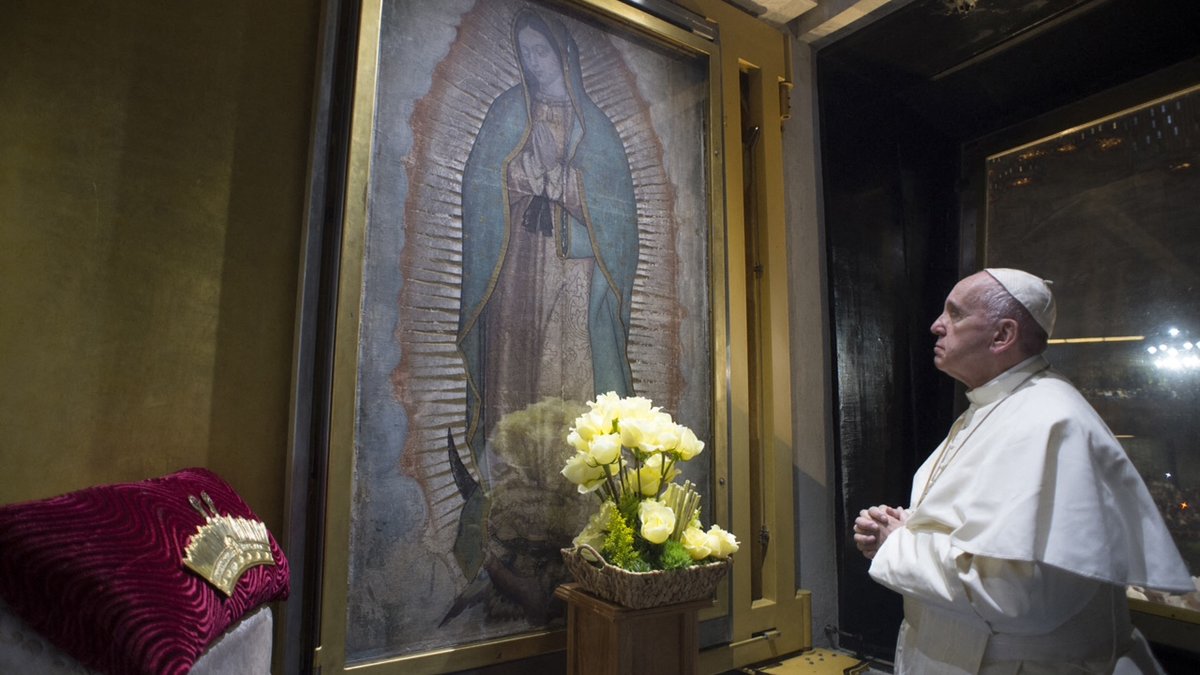 Papa Francisco diante da tilma de Nossa Senhora de Guadalupe