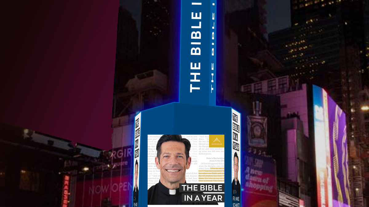 BIBLE IN A YEAR; FR Mike Schmitz