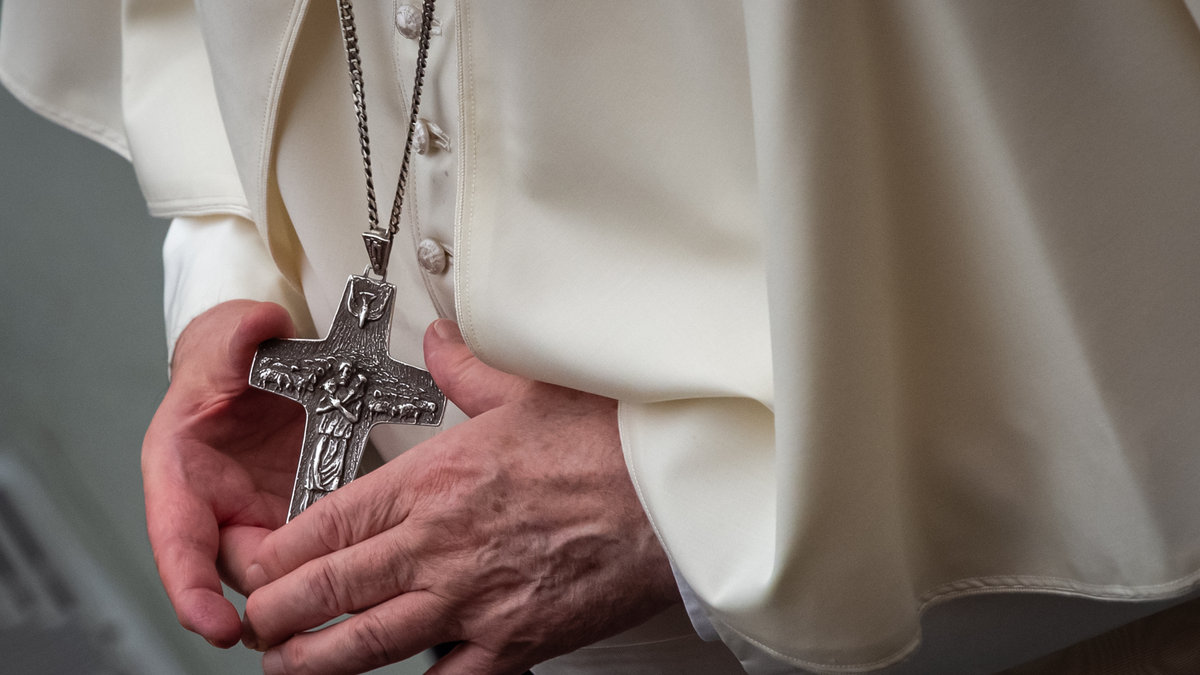 Pope Francis Audience