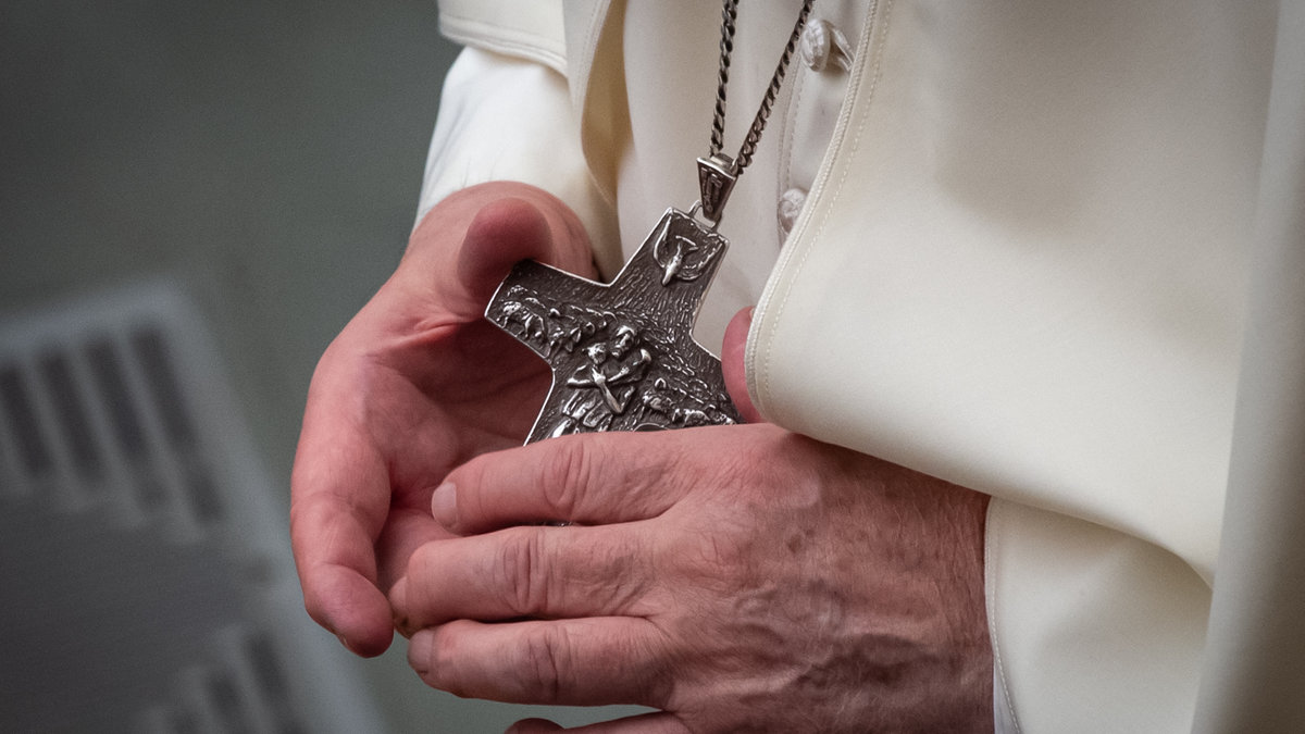 Pope Francis Audience