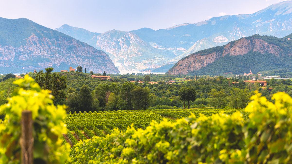 FRANCIACORTA