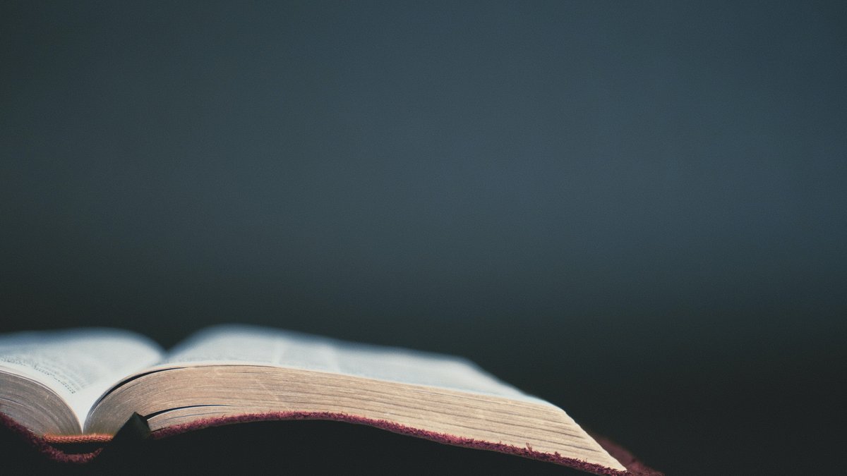 aaron-burden-NStfZIzeUko-unsplash.jpg