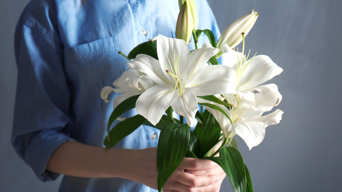 LILIES