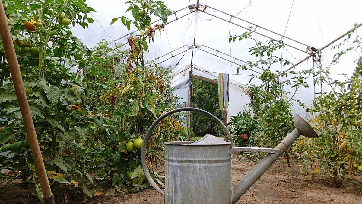 WEB3-gardening_PhotoCredit-Sr-Amata-CSFN-34.jpg